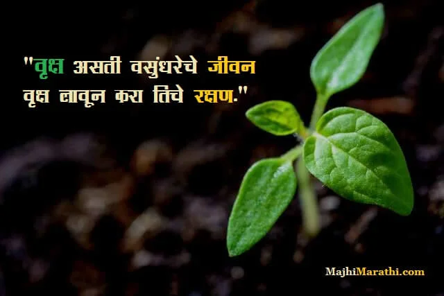 Marathi Slogans on Trees