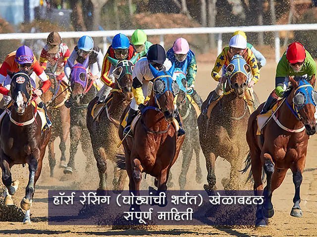 Horse Racing Information In Marathi Language