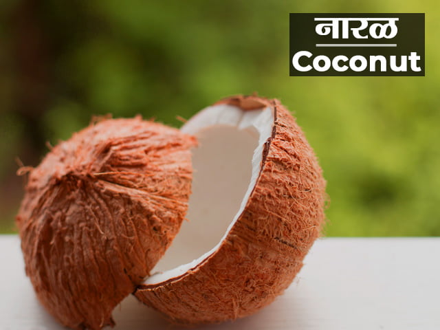 coconut-tree-information-in-marathi