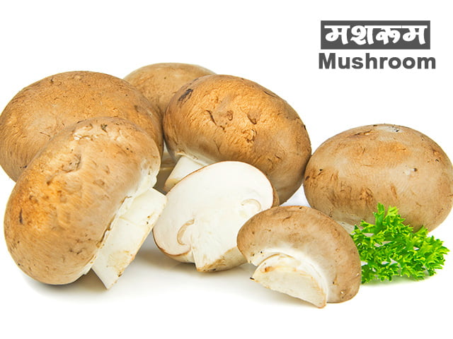 mushroom-information-in-marathi